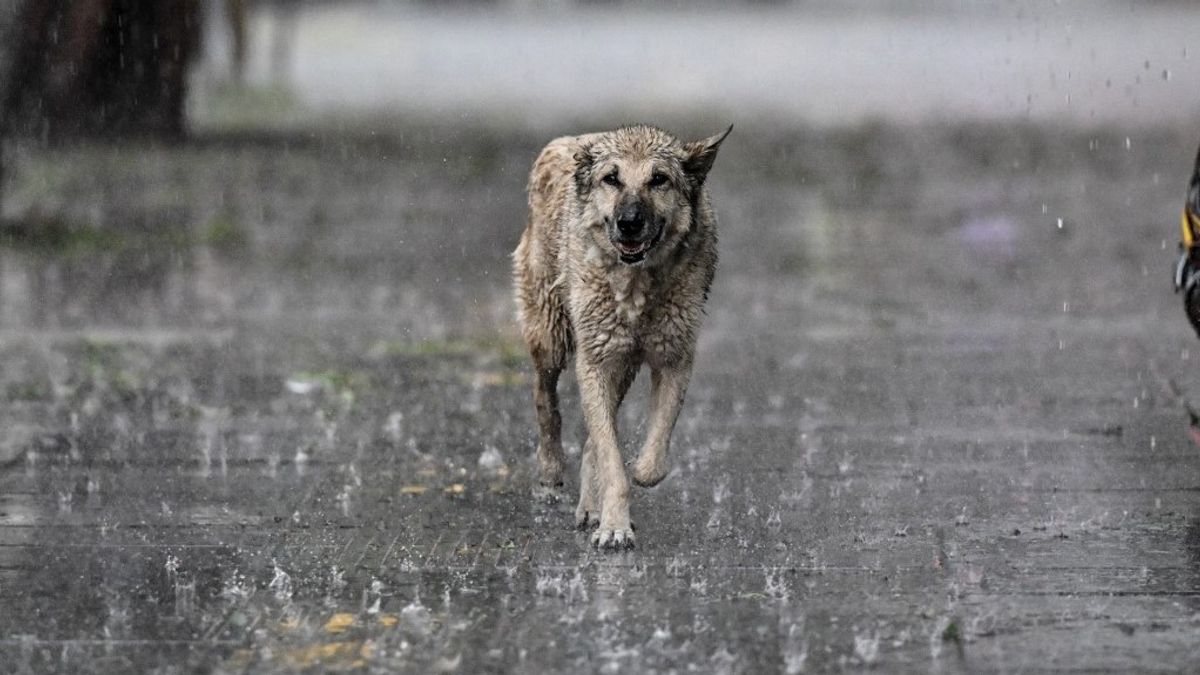 Jégesőt hoznak a hétköznapok, de a hétvégére megérkezik a strandidő