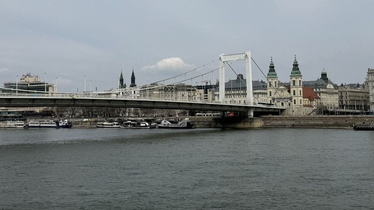 Választások 2024: újrázók és trónfosztók – ők lettek Budapest polgármesterei