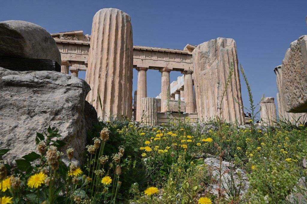 Wild Flowers Blossom In The Acropolis Of Athens

növény
külföld
