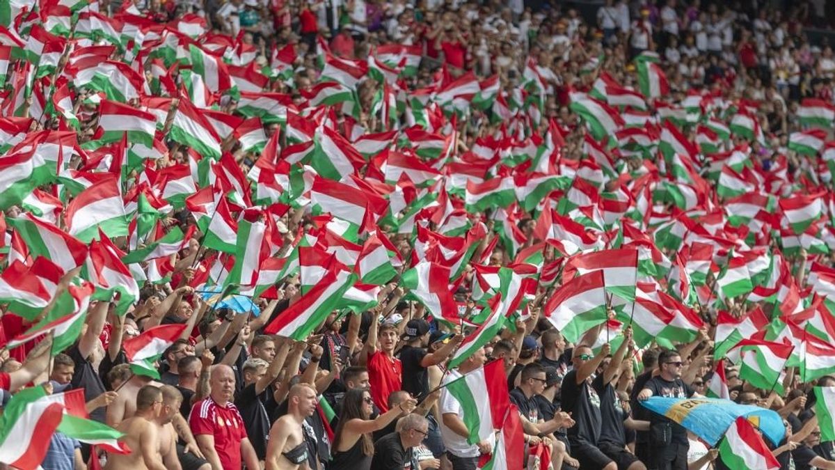 Foci-Eb 2024: több magyar szurkoló ellen történt rendőri intézkedés – közbeléptek a konzulok