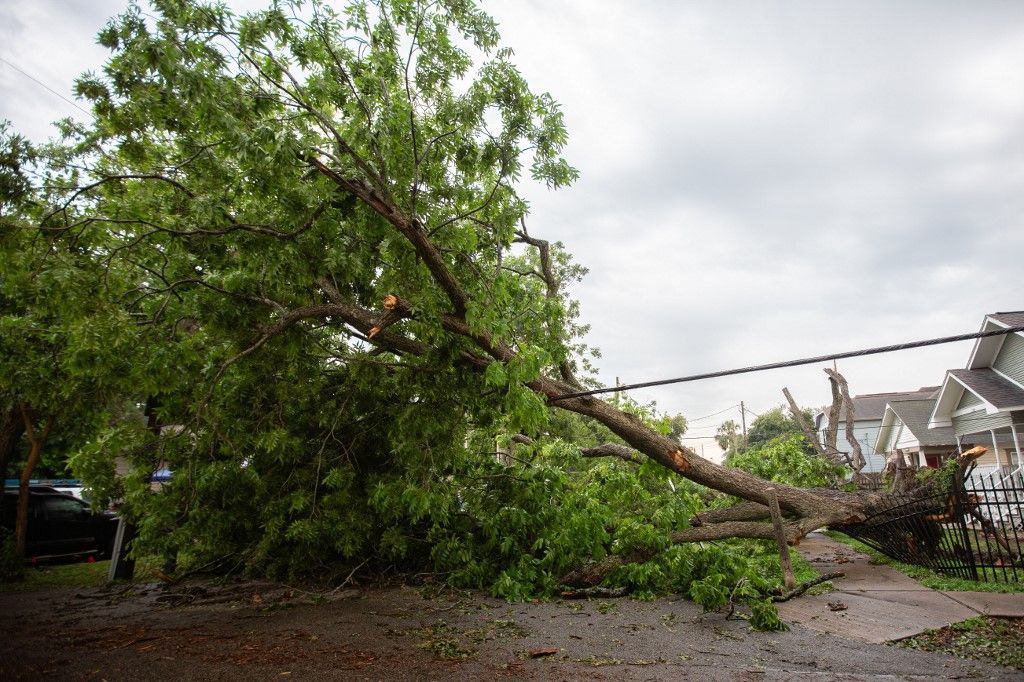 Fallen Trees From Powerful Houston Storm
vihar
viharkár
kár