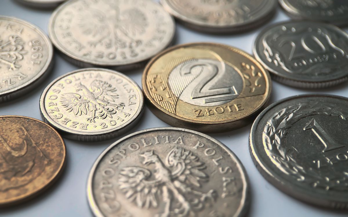 arany Polish,Zloty,Coins,On,White,Background.close,Up,Photography.