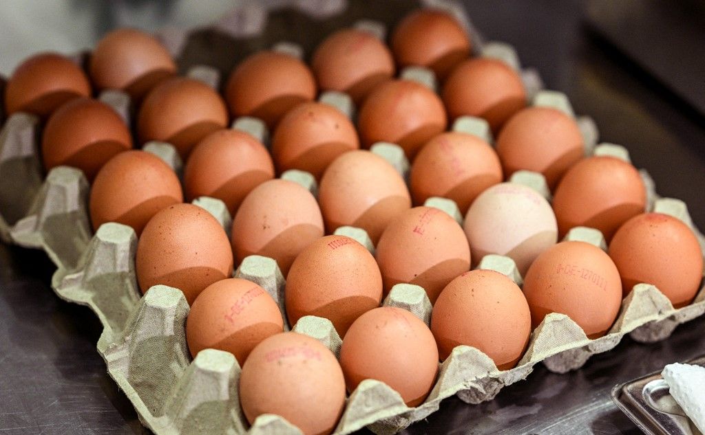 Chicken eggs, Penny Magyarország