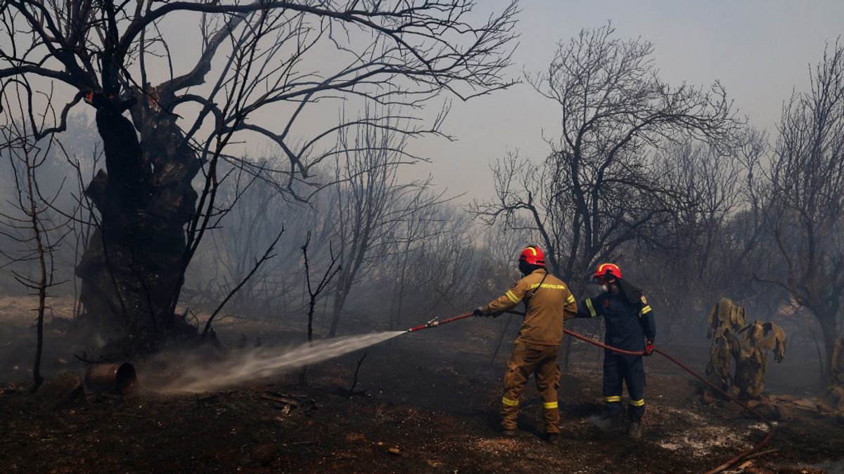 Újabb nyár, újabb erdőtüzek Görögországban