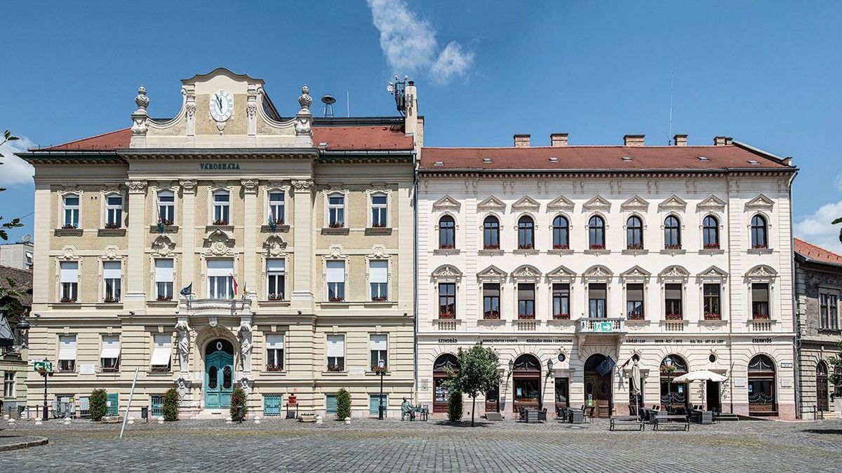 Gergő Czeglédy, the leftist deputy mayor of Óbuda, was detained