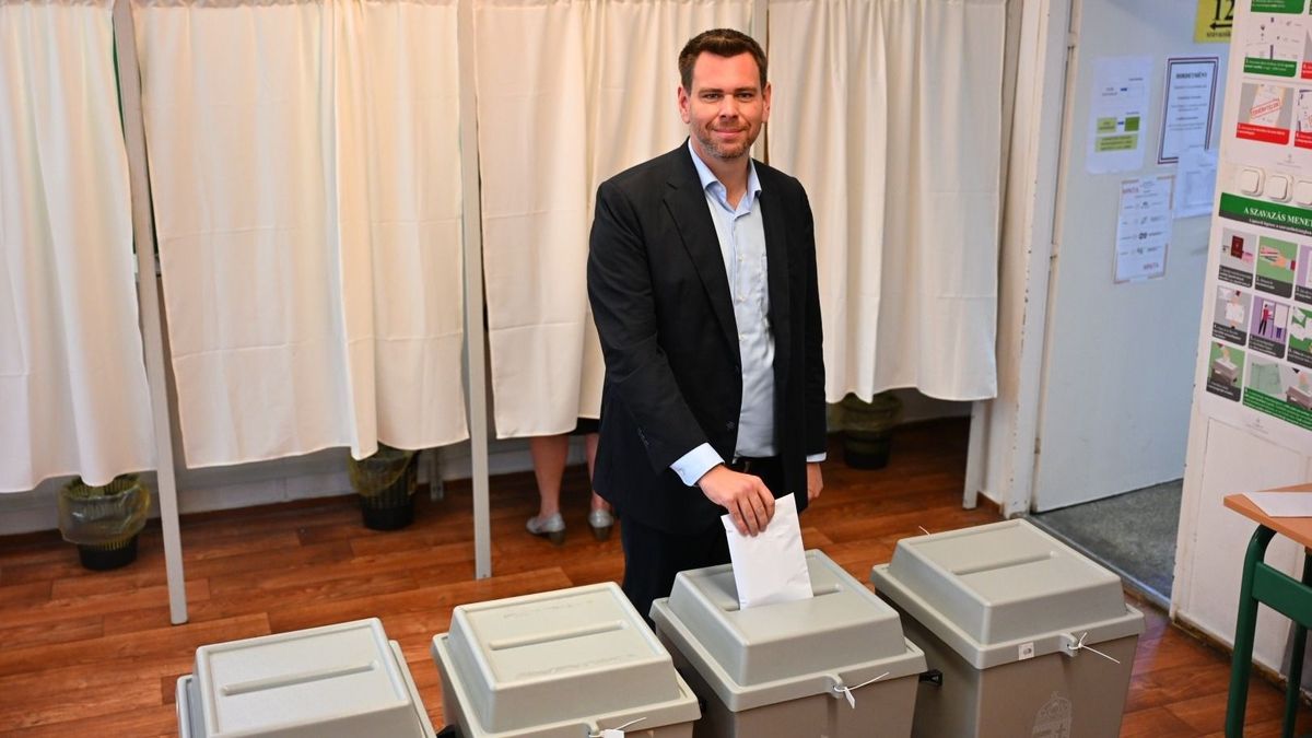 Választások 2024: fordulat jöhet Budapesten – Vitézy Dávid rendszerszintű hibákat talált