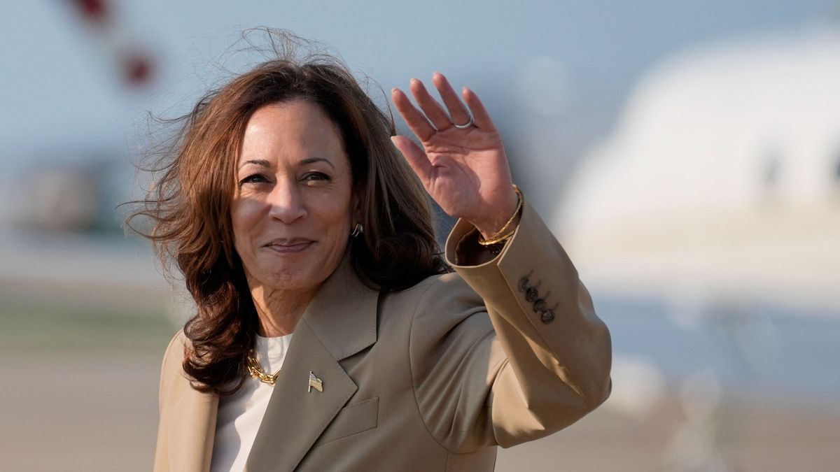 Gazdasági katasztrófa lenne Kamala Harris árstopja