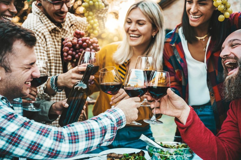 Happy,Friends,Drinking,Red,Wine,At,Farm,House,Vineyard,Countryside