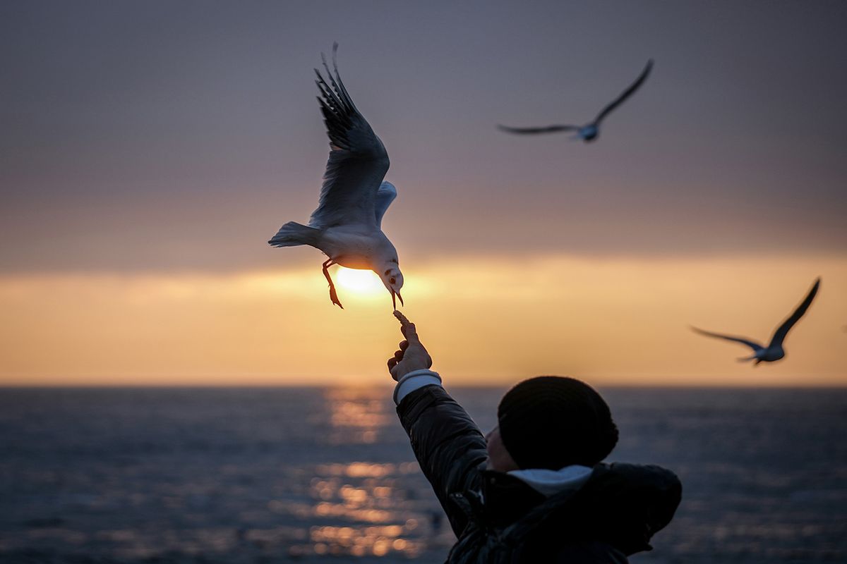 22 February 2024, Ukraine, Odessa: A woman feeds seagulls early in the morning at sunrise on the shore of the Black Sea in the port city of Odessa. February 24, 2024 marks the second anniversary of the start of Russia's war of aggression against Ukraine. Photo: Kay Nietfeld/dpa Further Developments In The Ukraine War - Odessa
orosz-ukrán háború