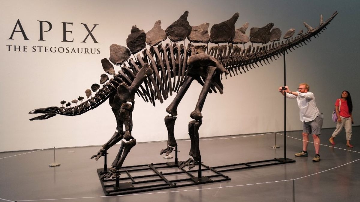 Eladták a világ legdrágább dinoszaurusz-csontvázát