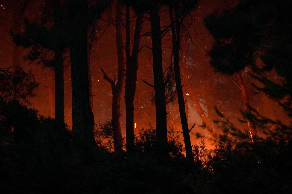 Intervention continues for the forest fire in Izmir
tűz
tűzvész
tűzoltó