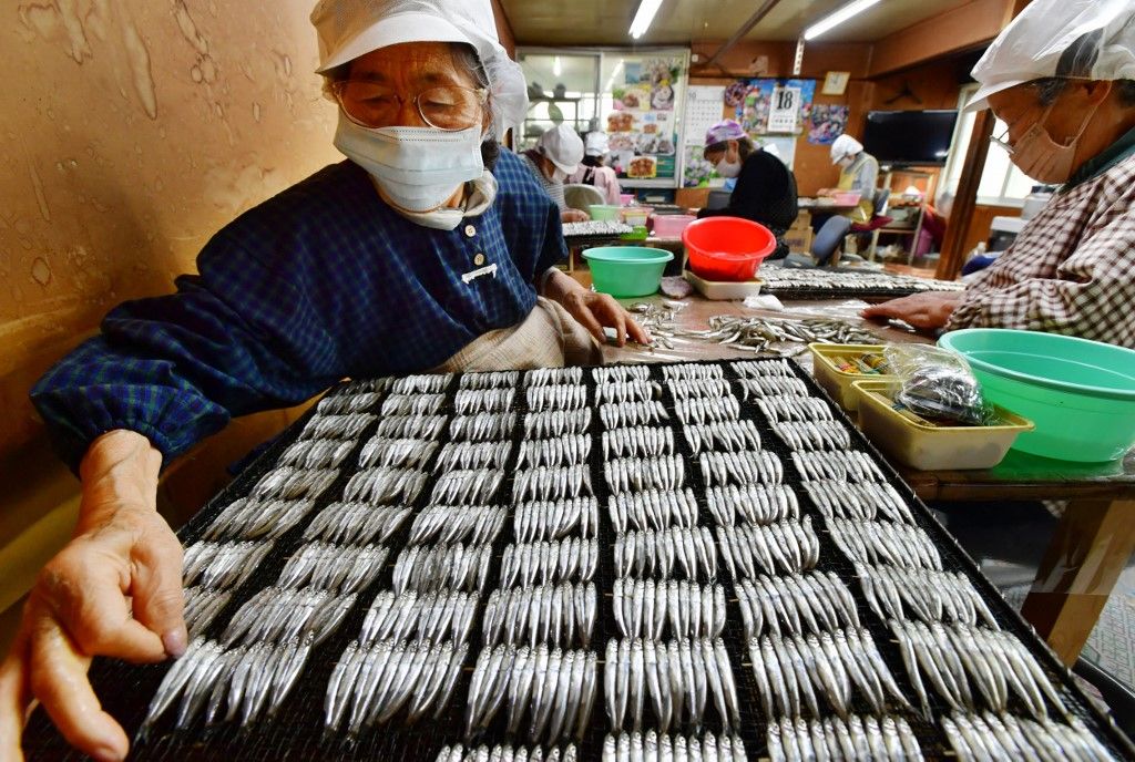 Ikadayaki of Smelt (Hypomesus nipponensis) in Japan