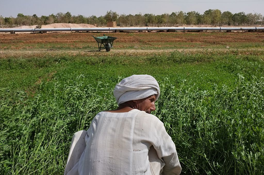 The Toshka Project in Egypt
Az Egyiptom jövője kezdeményezés 9 240 négyzetkilométeren, azaz Ciprus szigetének megfelelő területen zöldítené az észak-afrikai országot, amely jelentős részt elsivatagosodott.