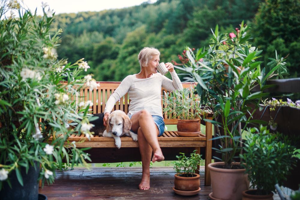 A,Senior,Woman,With,A,Dog,And,Coffee,Sitting,Outdoors, nyugdíj