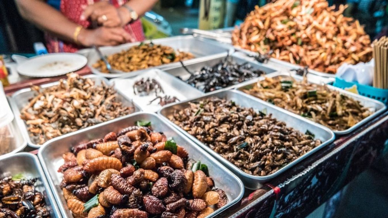 Fried,Insects,On,The,Streets,Of,Khao,San,Road,In