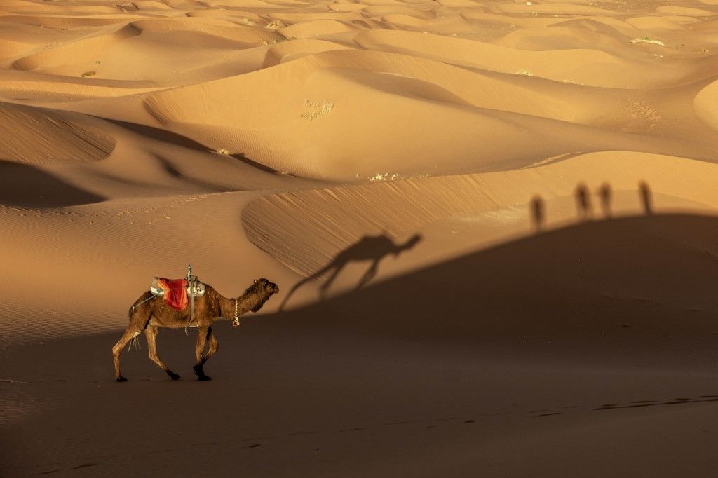 World's largest hot desert: The Great Sahara