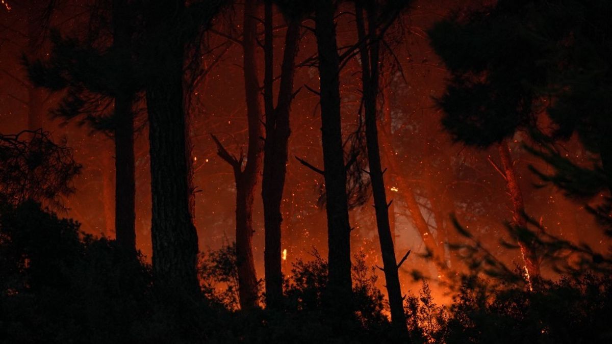 Hatalmas tűz ütött ki Horvátországban, veszélyben egy népszerű település