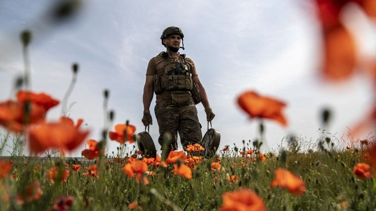 Elképesztő: már másfél Magyarországnyi területen húzódik aknamező Ukrajnában