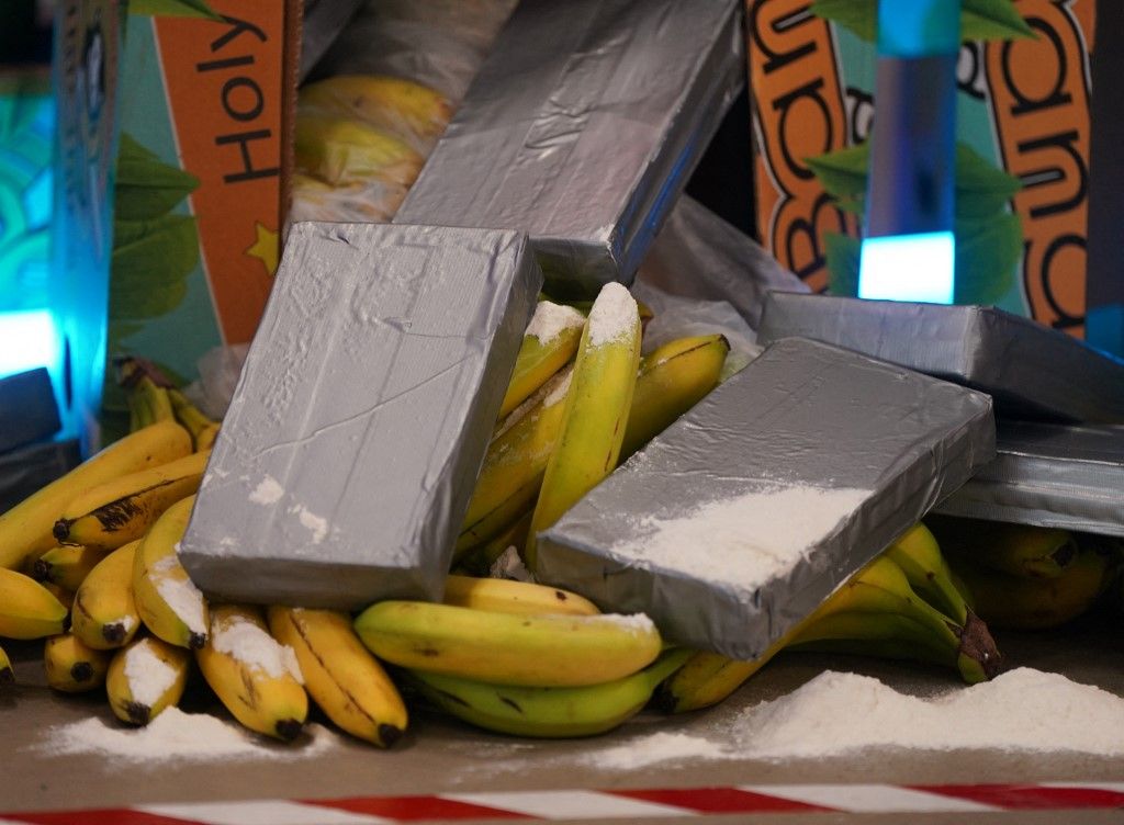 ILLUSTRATION - 29 April 2024, Hamburg: Silver-gray packages and white powder, meant to represent cocaine, lie next to bananas and banana crates during the launch of the awareness campaign for port employees in the fight against international drug crime. The security authorities presented the new awareness campaign on Monday. Photo: Marcus Brandt/dpa (Photo by MARCUS BRANDT / DPA / dpa Picture-Alliance via AFP)