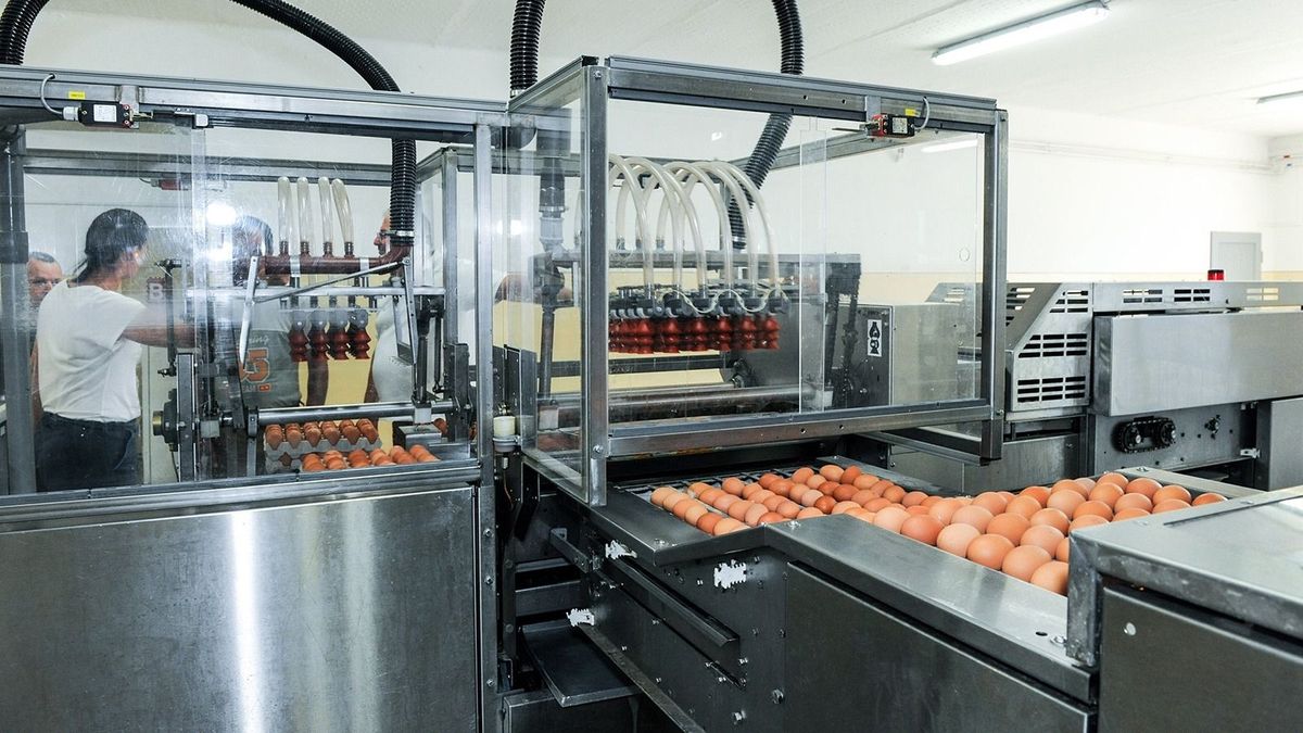 Őrült drágulás a boltokban: elszállt egy fontos alapélelmiszer ára