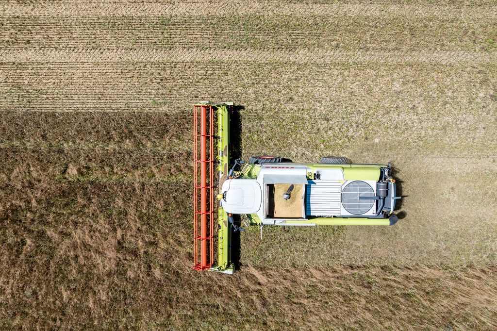 Winter barley harvest in Brandenburg
gabonatermés
gabona
mezőgazdaság
agrárium