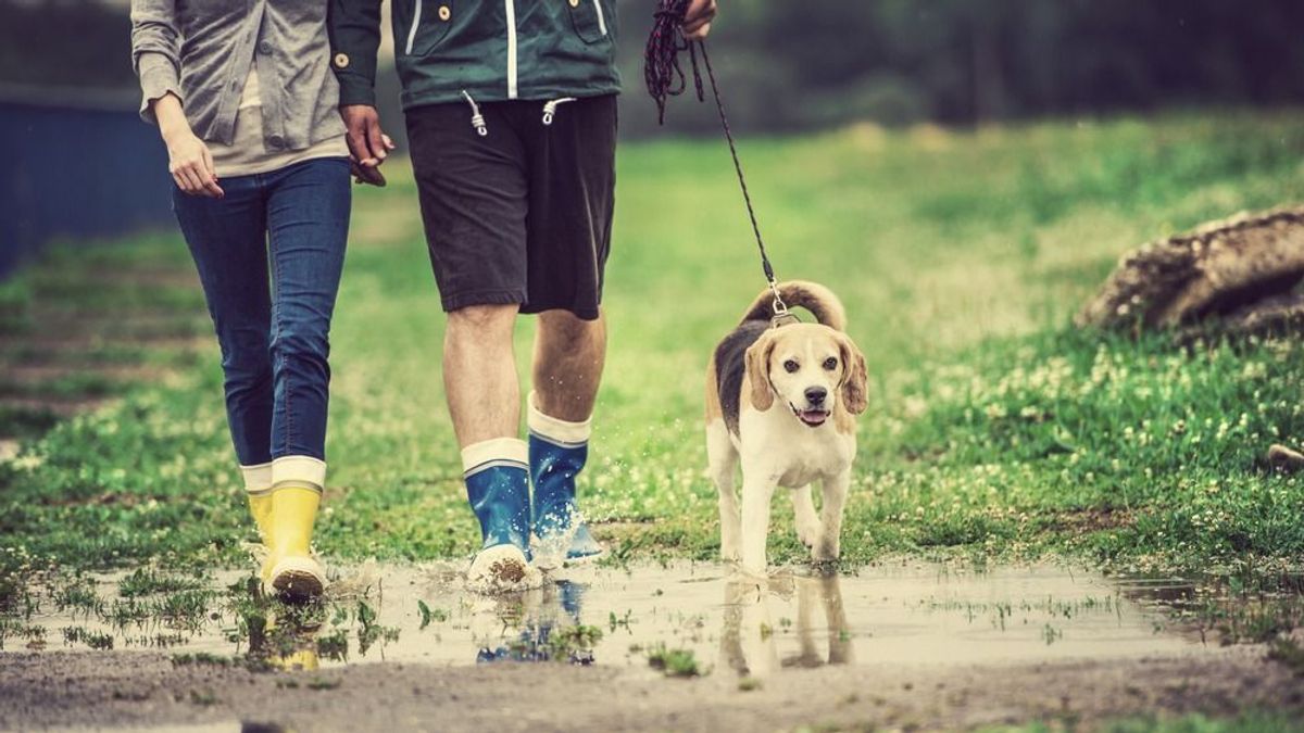 Jön az eső: itt csaphatnak le a zivatarok