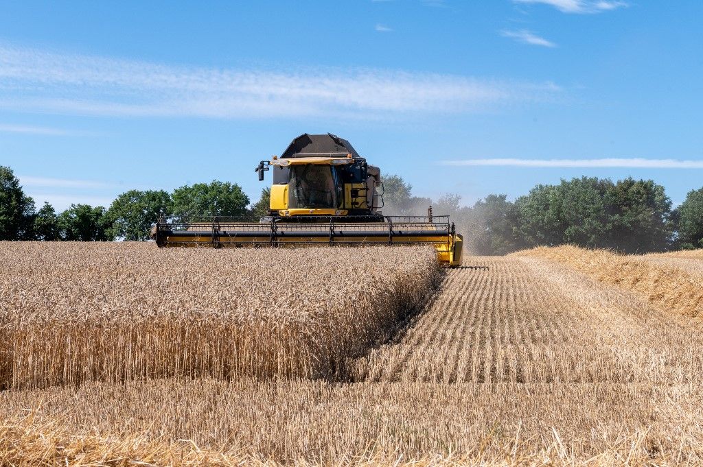 FRANCE - WHEAT HARVEST IN BRITTANY CENTER FINISTERE
A sok eső miatt várhatóan Franciaországban az elmúlt 40 év leggyengébb búzatermése lesz.