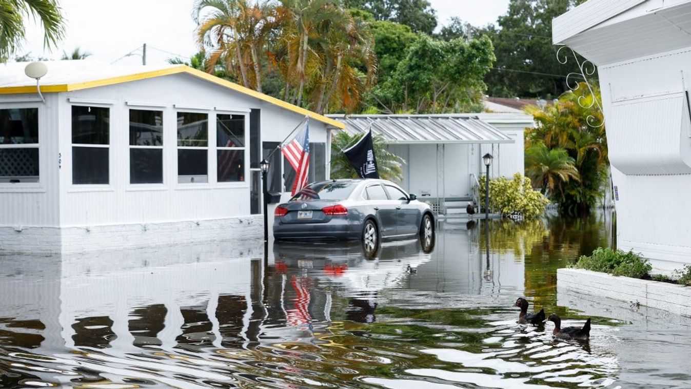 Aftermath of heavy rain and flood in Miami
hurrikán
Florida