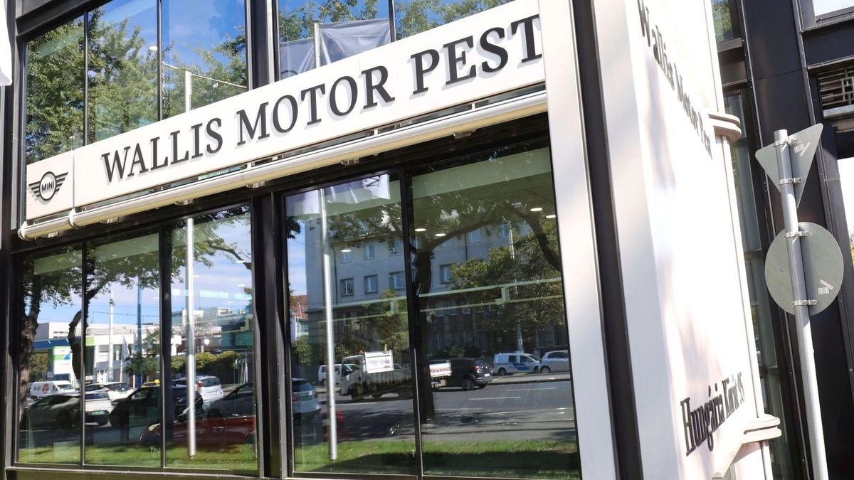 AutoWallis
Wallis_LUS_8972