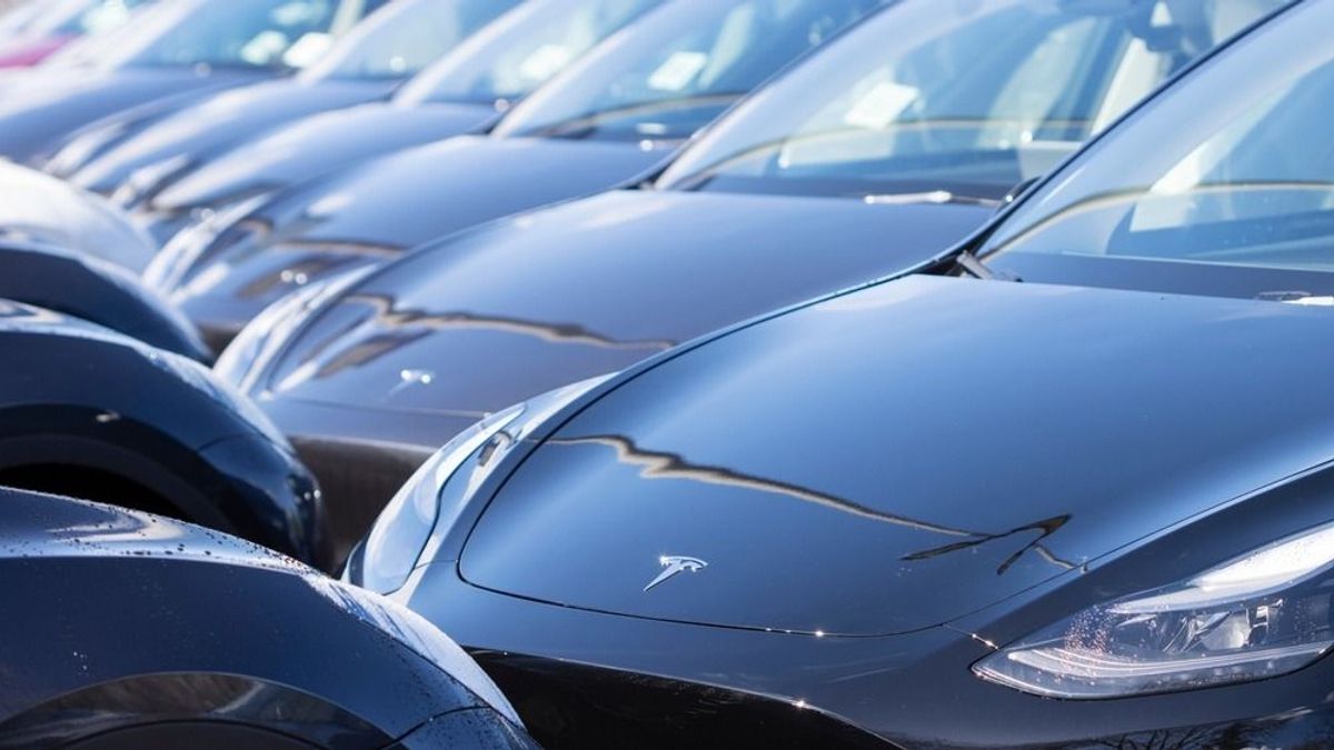 Berágott a Rossmann Elon Muskra, nem vesz többé Teslákat a német cég