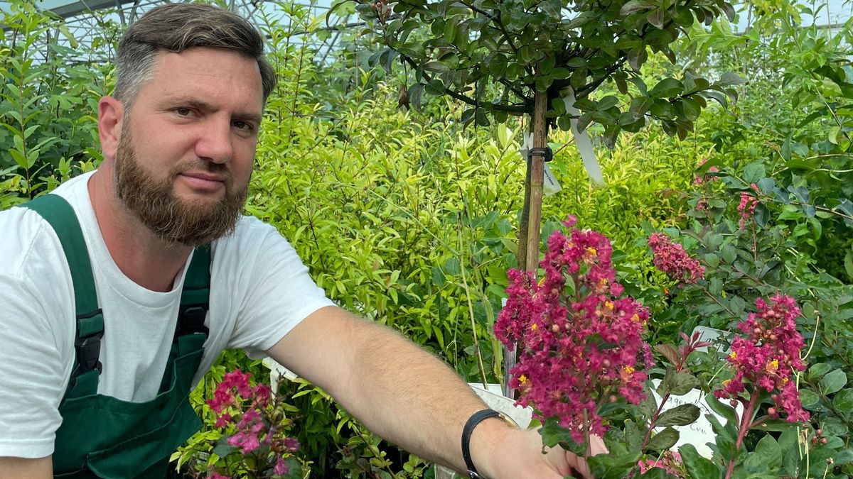 Ne járjunk úgy, mint a tujákkal – az okoskert lehet a gyógyír a gondokra