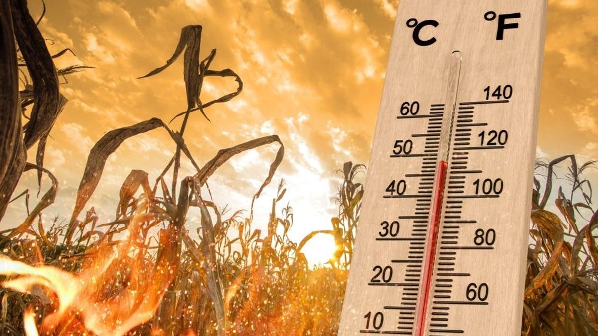 A hőség lesz az úr hétvégén is