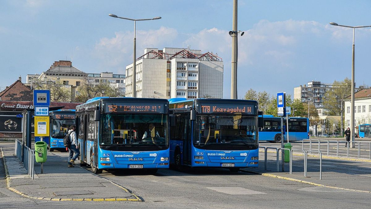 Csuklós buszokat akart meglovasítani két, jogsival sem rendelkező fiatal