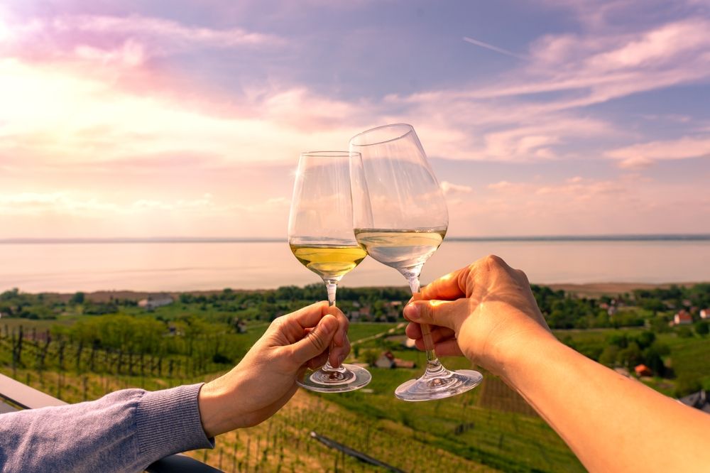 Romantic,Celebratory,Toast,With,Wine,Glasses,In,A,Vineyard,Wine