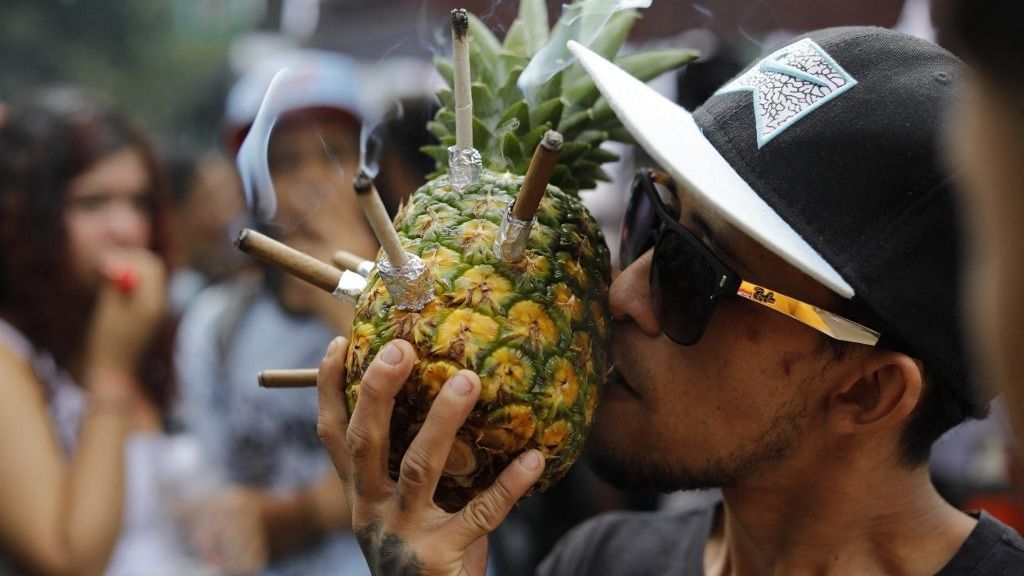 A man smokes joints using a pineapple during the Global Marijuana March demanding the decriminalization of marijuana in Medellin, Antioquia department, Colombia, on May 4, 2024. (Photo by JAIME SALDARRIAGA / AFP)