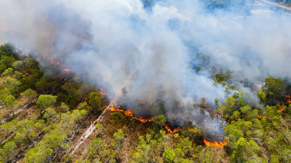 Forest,Fires,Are,Burning,Heavily,In,Forests.
erdőtűz, Brazília