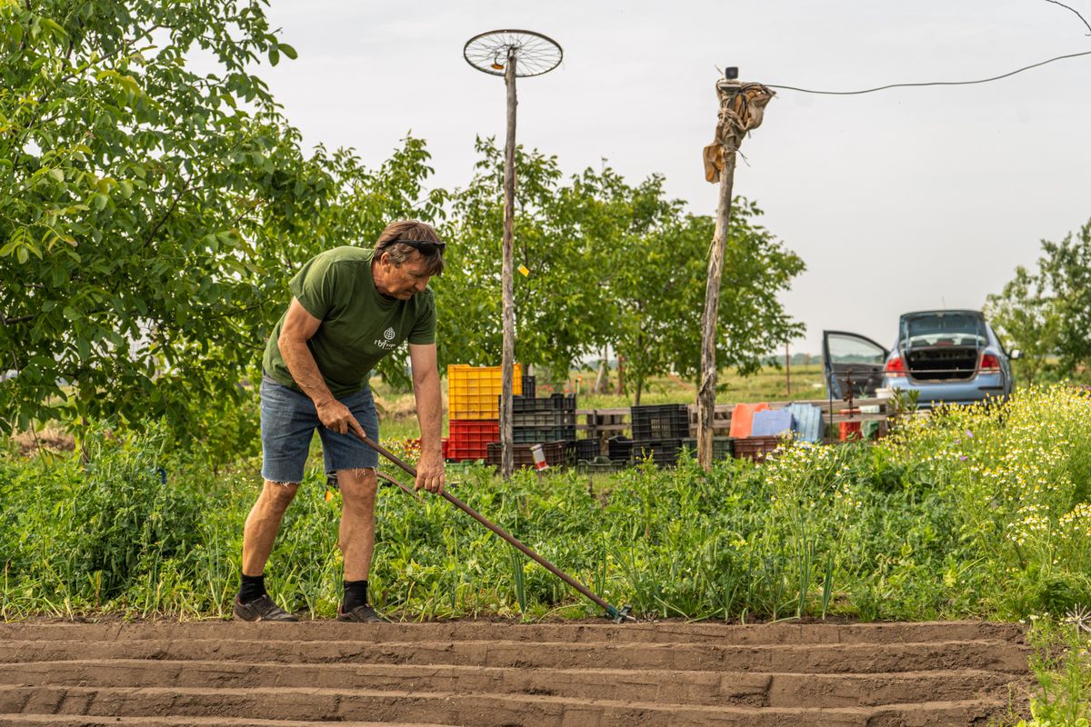 MyFarm, vegyszermentes 