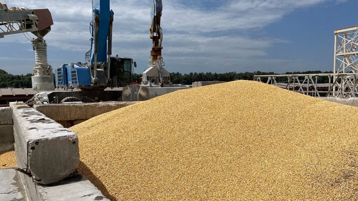 Viharos vizeken az orosz gazdaság – erősítik az agrárexportot