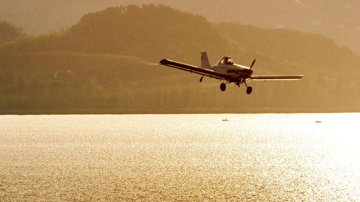 Figyelmeztetés a balatonozóknak: gyérítik a szúnyogokat, az ablakokat, ajtókat zárva kell tartani
