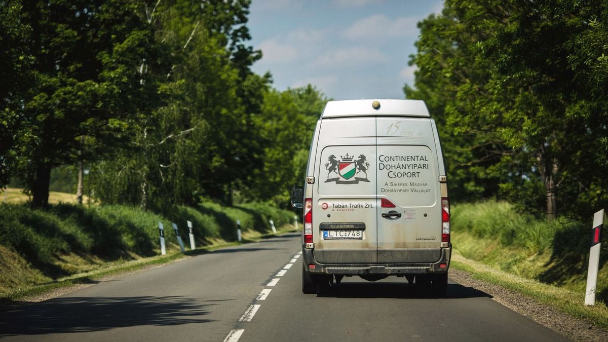 A munkaerőhiány és az óriási hőség ellenére sem áll le a hazai dohánytermesztés