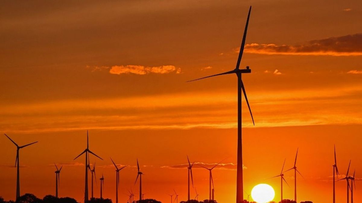 Nem csitulnak az indulatok – kampánytémává vált a megújuló energia Németországban