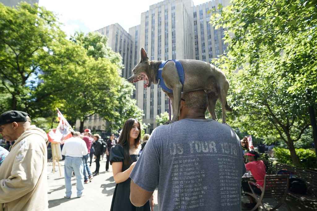 A man carries a dog on his shoulders as supporters of former US President Donald Trump gather outside of Manhattan Criminal Court as Trump attends his criminal trial for allegedly covering up hush money payments in New York City, on May 29, 2024. Jurors in Trump's hush money trial begin deliberating Wednesday on whether to return the first criminal conviction of a former president -- a momentous decision that could upend the November presidential election. (Photo by TIMOTHY A. CLARY / AFP)