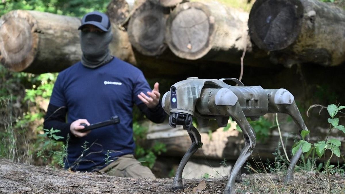 Ha nincs elég ember az ukrán fronton, jöjjön a robotkutya