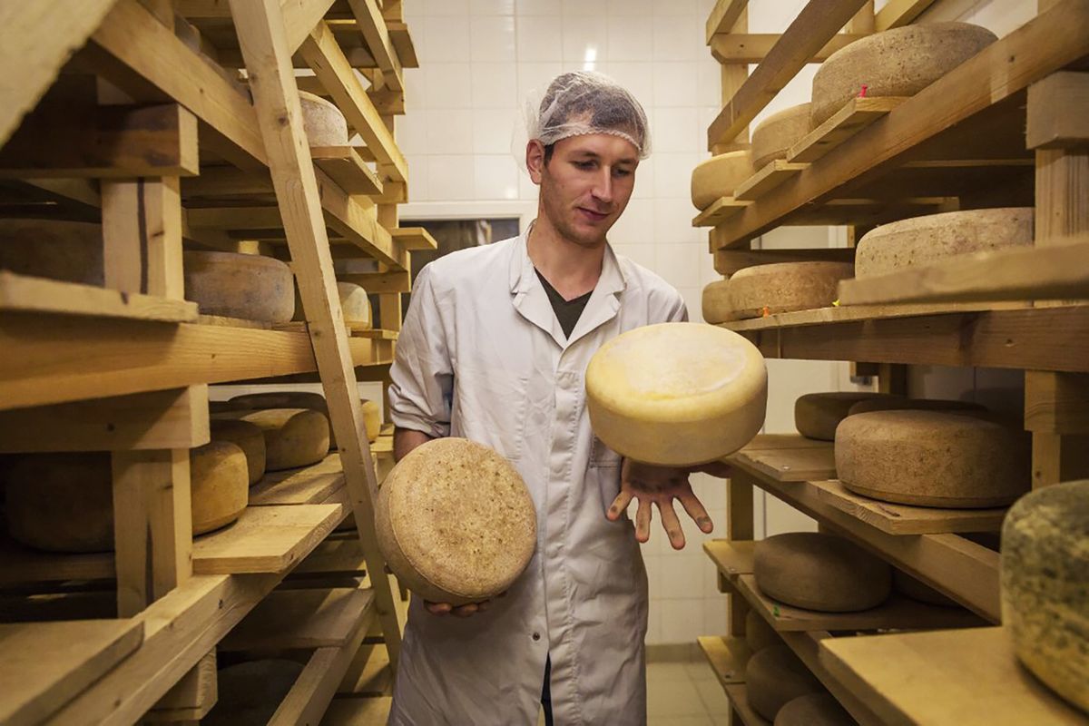 France, Indre et Loire, Sonzay, Gautraie farm, the Kuipers family, originally from the Netherlands, settled in Sonzay in 1993. They raise dairy cows there and transform part of the milk into butter and raw milk Gouda ice creams, the Gouda maturing cellar (Photo by AVENET Pascal / Hemis.fr / hemis.fr / Hemis via AFP)