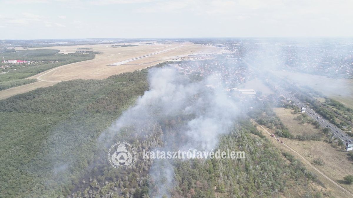 Nagy területet érintő erdőtűz ütött ki Budapesten