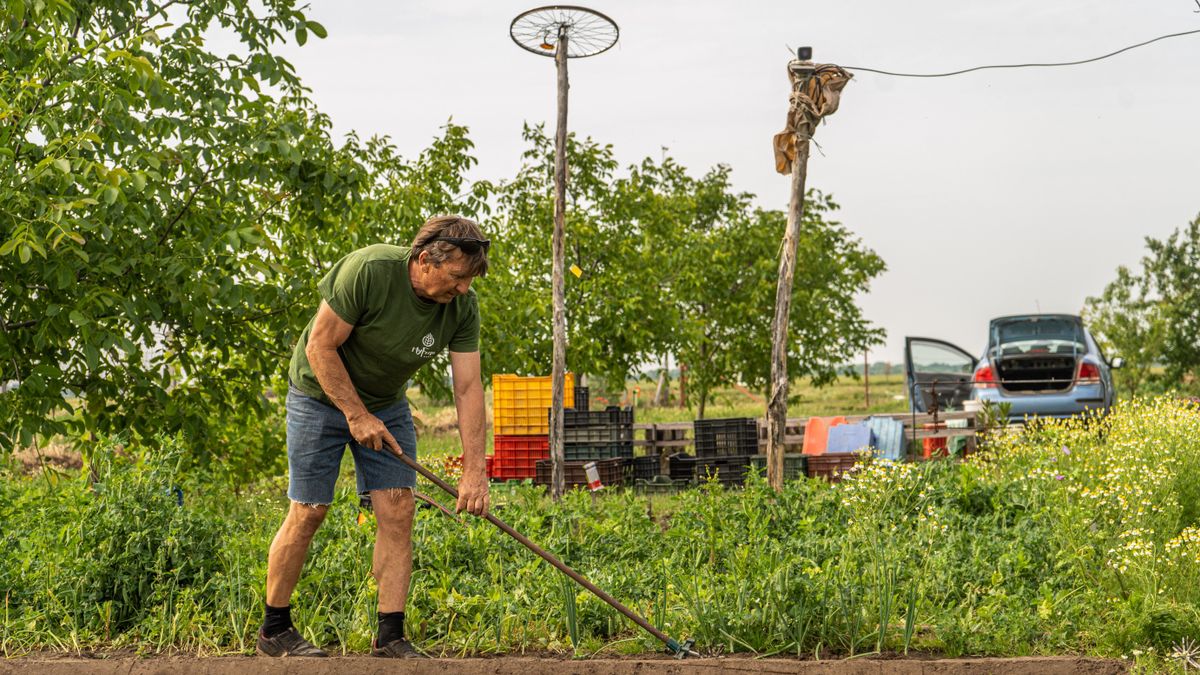 Vegyszermentes, olcsóbb és házhoz jön: ugrásszerűen terjed a kosárközösségi modell