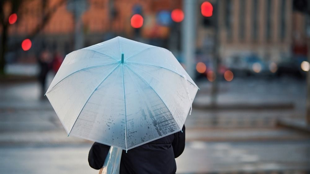 Woman,With,White,Umbrella,Waiting,Signal,For,Cross,Walk,During
eső