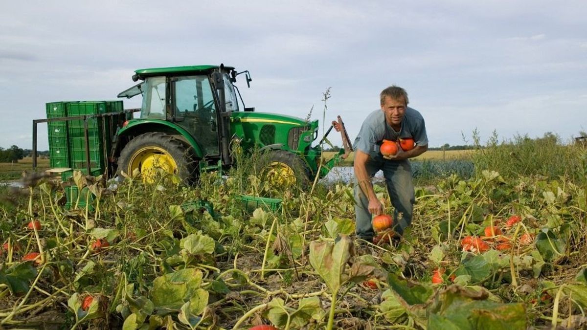 Kőkemény kritikát kapott az EU biogazdálkodást támogató programja