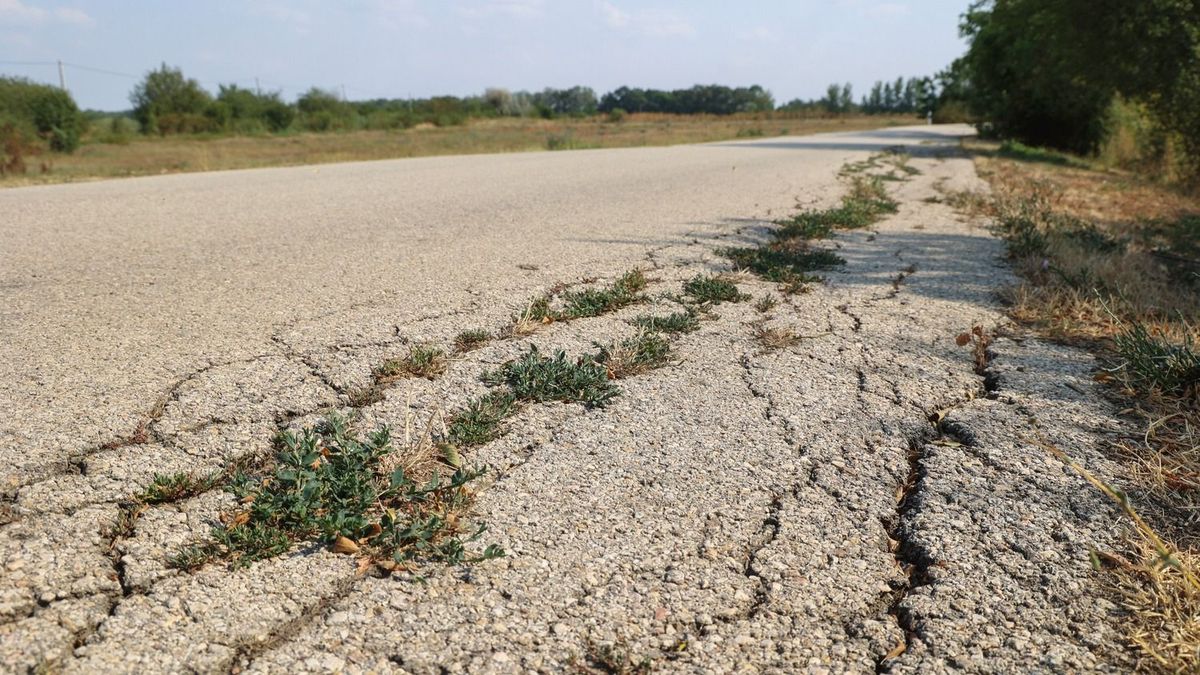 Politikai vihar Algyő felett: a Magyar Közút válaszolt a sajtóvádakra