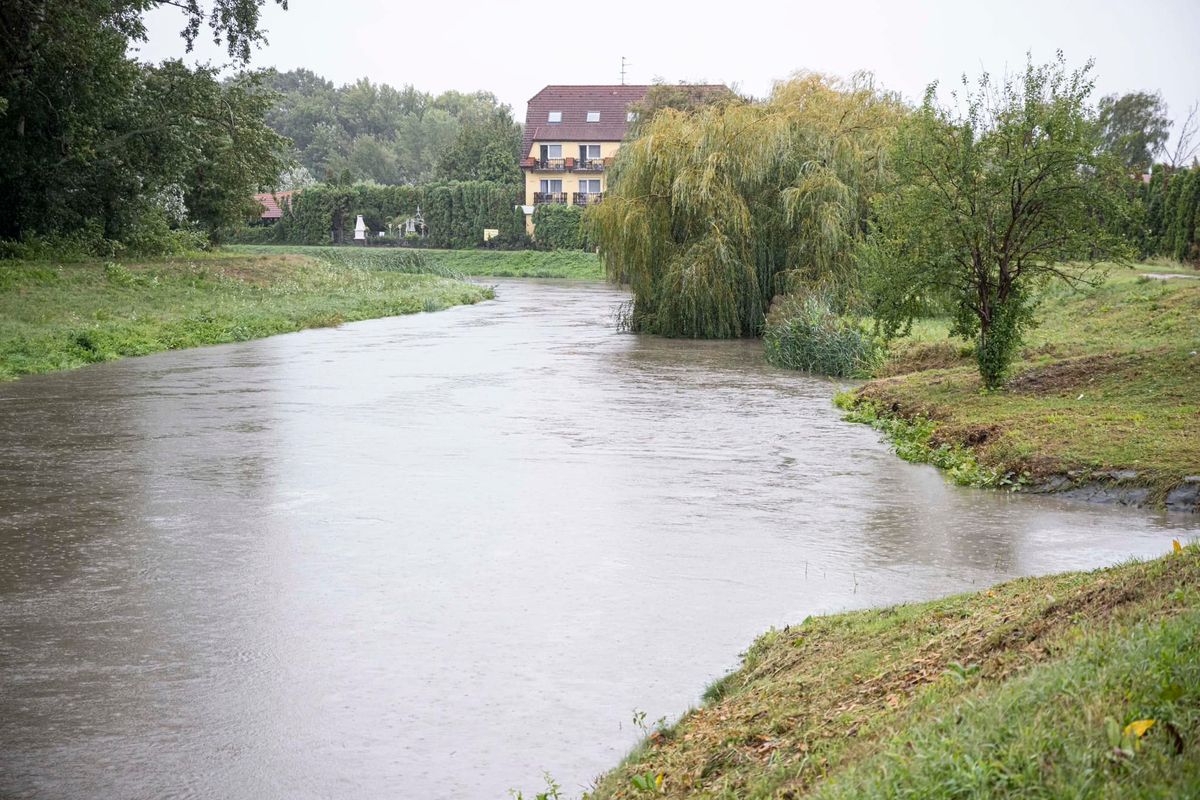 lajta, árvíz